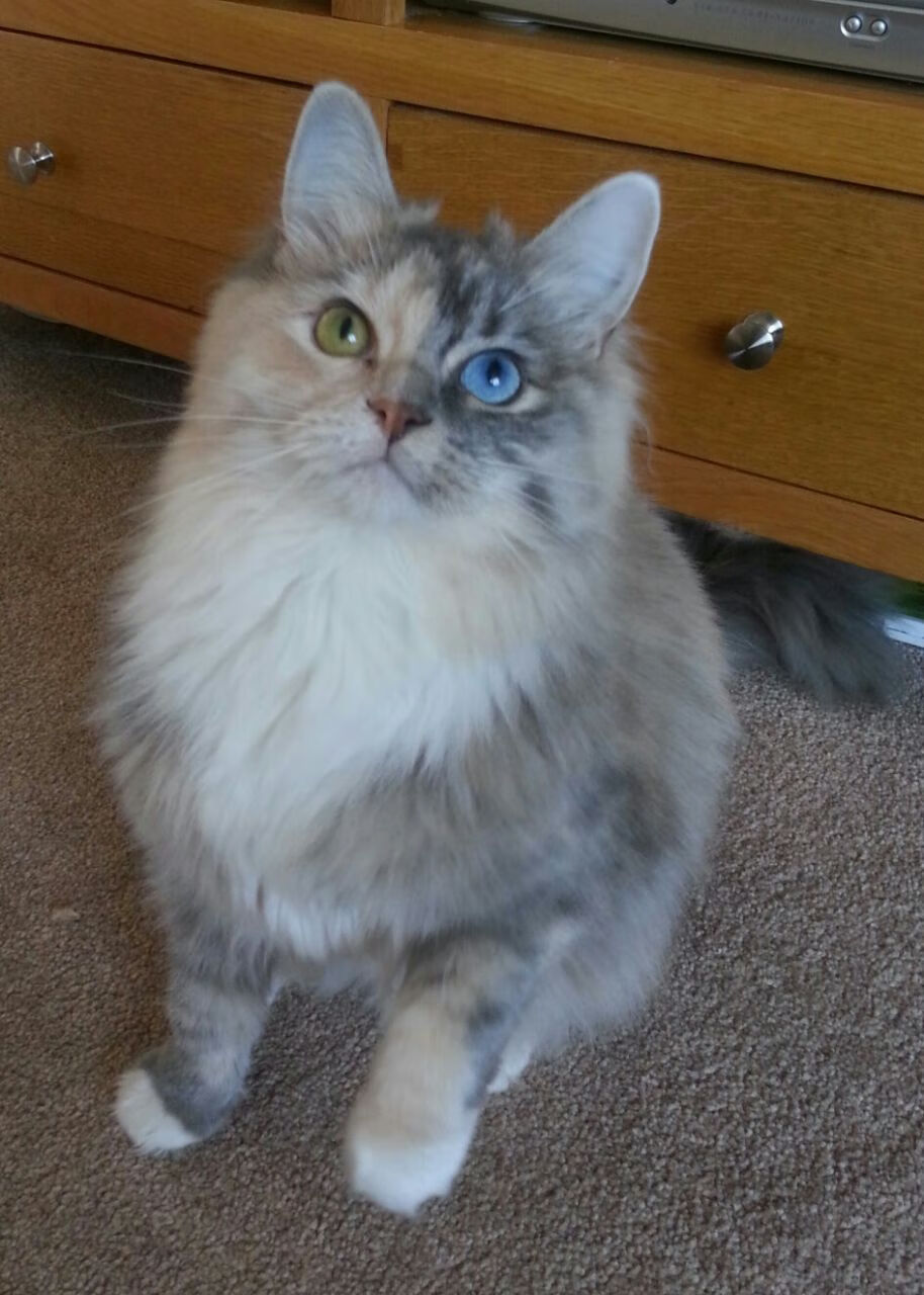 两种伟大，英格兰的团队风暴与奥纳纳的个人时刻